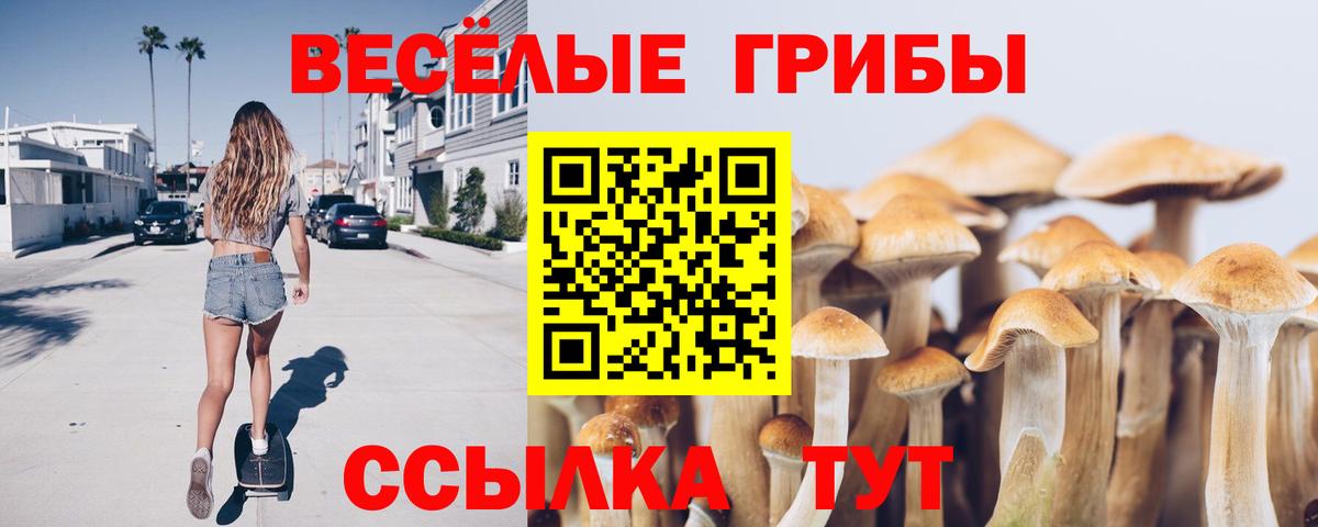Новороссийск  Псилоцибиновые грибы Cubensis  Вход с VPN 